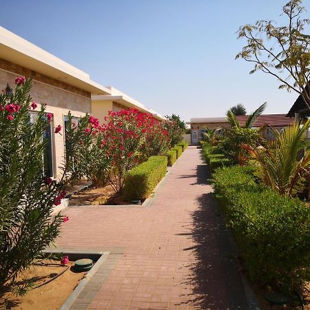Almorouj Farm Inn - Badīyah エクステリア 写真