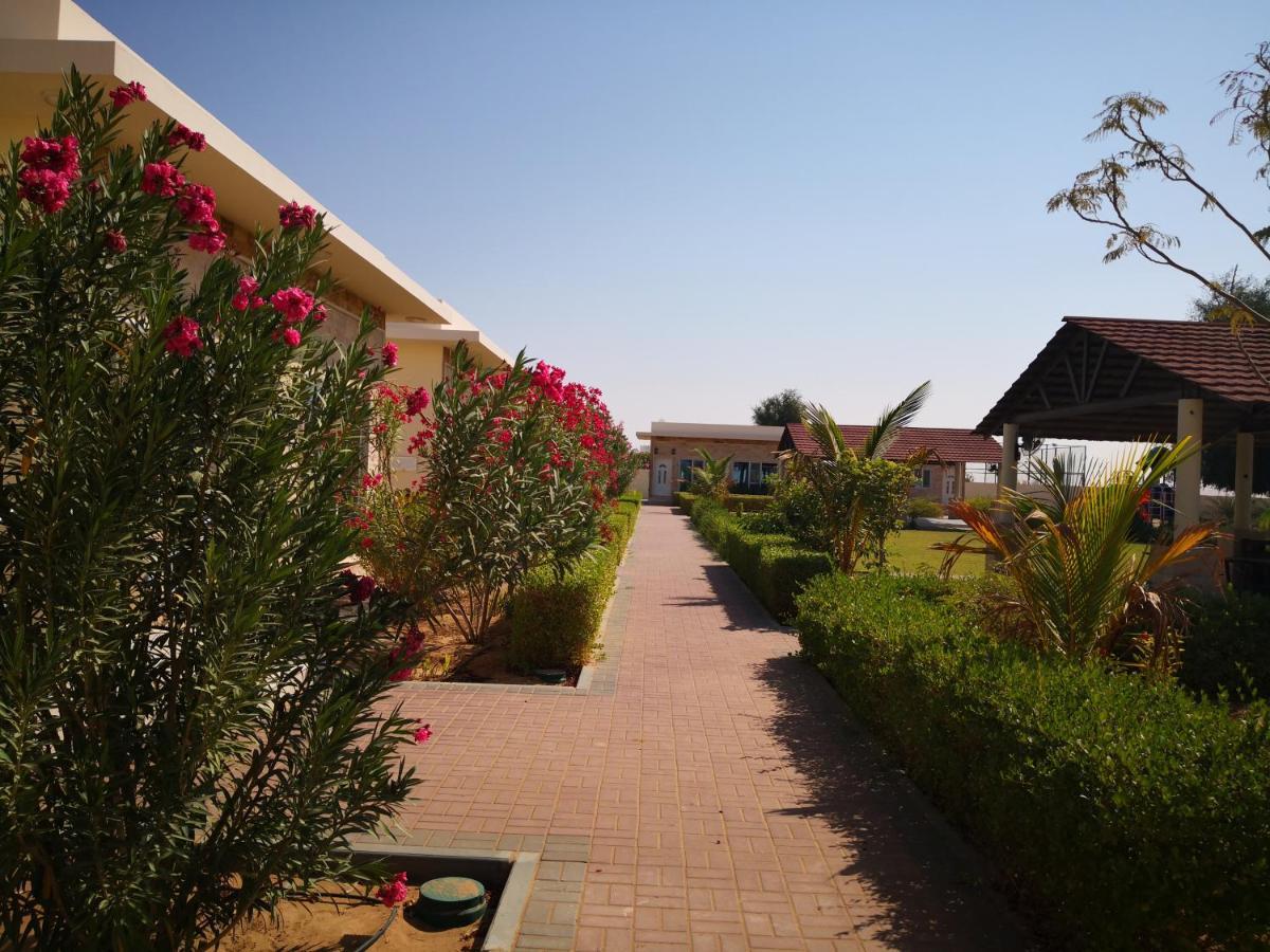 Almorouj Farm Inn - Badīyah エクステリア 写真